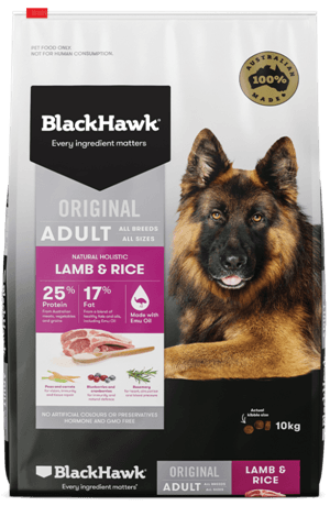 Black Hawk Adult, Lamb & Rice